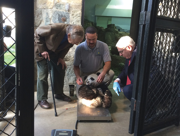 David Rubenstein Morley Safer Bao Bao 60 Minutes